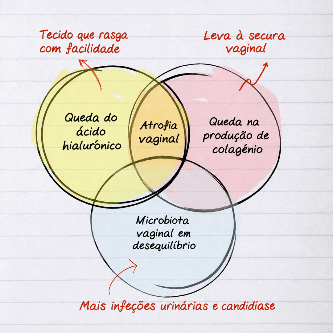 Desenho à mão a explicar o que acontece ao tecido vaginal depois da menopausa